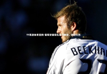 YY易游体育官网-葡萄牙国家队成功晋级，状态火热